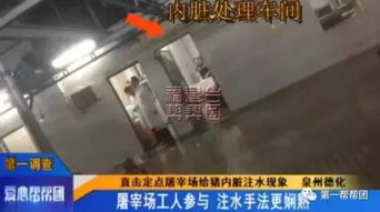 泉州生豬屠宰點曝注水丑聞，農副產品安全引擔憂